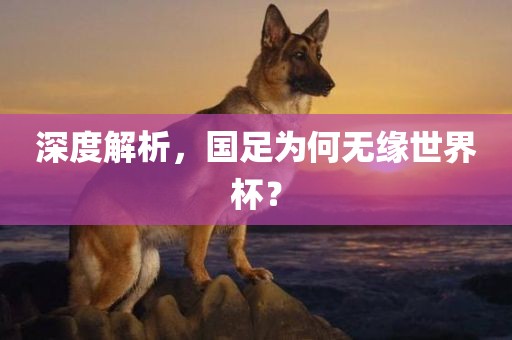 深度解析，国足为何无缘世界杯？