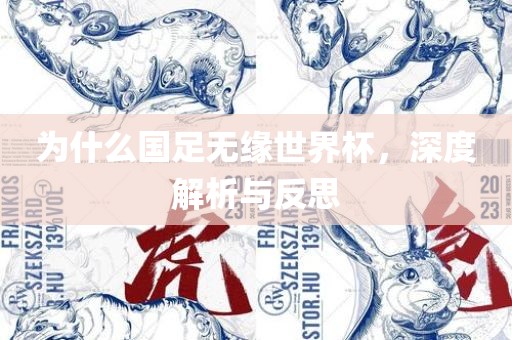 为什么国足无缘世界杯，深度解析与反思