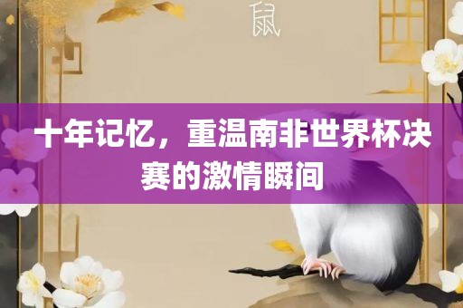 十年记忆，重温南非世界杯决赛的激情瞬间