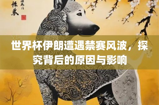 世界杯伊朗遭遇禁赛风波，探究背后的原因与影响