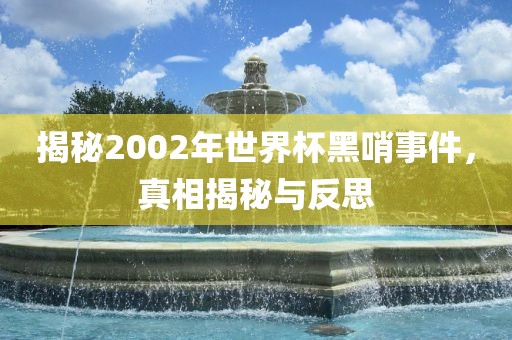 揭秘2002年世界杯黑哨事件，真相揭秘与反思
