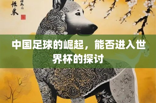 中国足球的崛起，能否进入世界杯的探讨