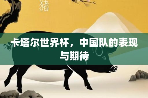 卡塔尔世界杯，中国队的表现与期待