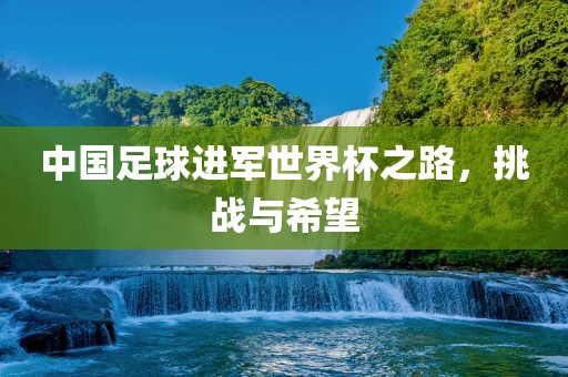 中国足球进军世界杯之路，挑战与希望