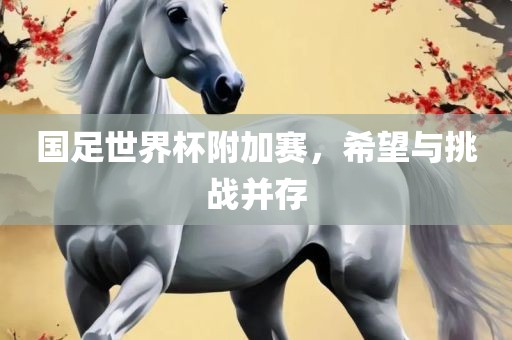 国足世界杯附加赛，希望与挑战并存