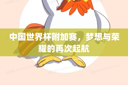 中国世界杯附加赛，梦想与荣耀的再次起航