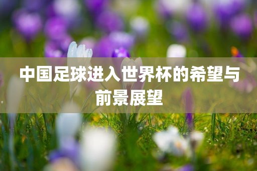 中国足球进入世界杯的希望与前景展望