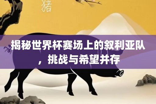 揭秘世界杯赛场上的叙利亚队，挑战与希望并存