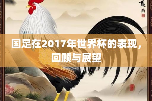 国足在2017年世界杯的表现，回顾与展望