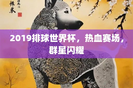 2019排球世界杯，热血赛场，群星闪耀