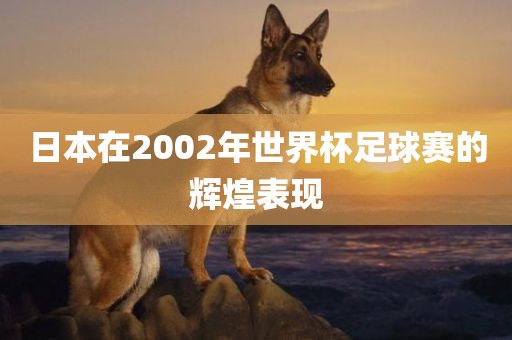 日本在2002年世界杯足球赛的辉煌表现
