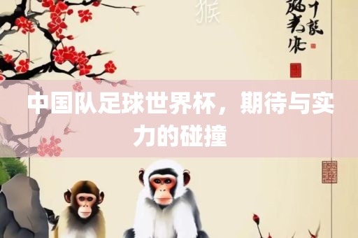 眉山市正发家政服务有限公司中国队足球世界杯，期待与实力的碰撞
