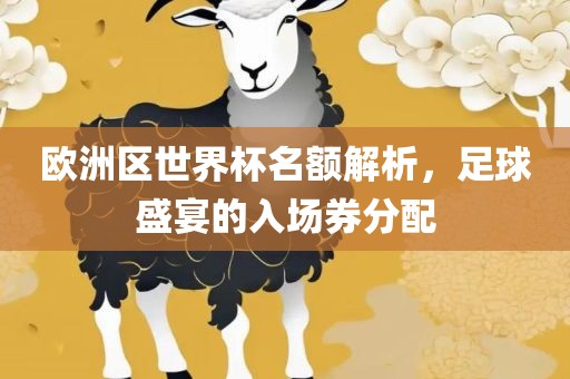 欧洲区眉山市正发家政服务有限公司世界杯名额解析，足球盛宴的入场券分配