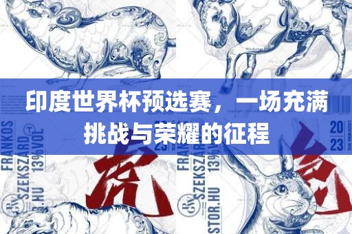印度世界杯预选赛，一场充满挑战与荣耀的征程
