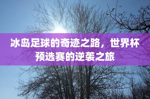 冰岛足球的奇迹之路，世界杯预选赛的逆袭之旅