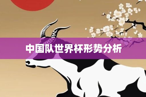 中国队世界杯形势分析