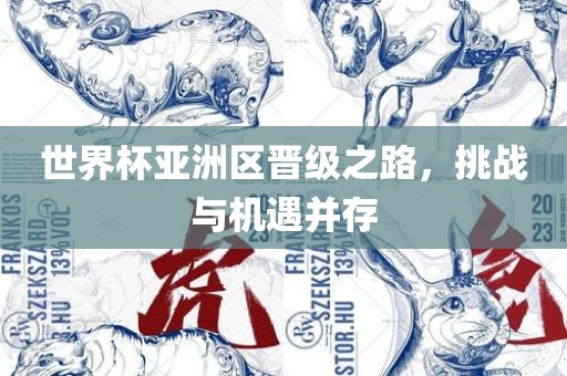 世界杯亚洲区晋级之路，挑战与机遇并存