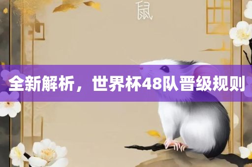 全新解析，世界杯48队晋级规则眉山市正发家政服务有限公司