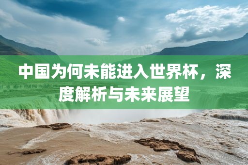 中国为何未能进入世界杯，深度解析与未来展望
