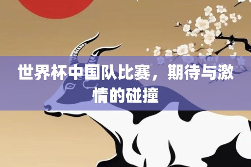 世界杯中国队比赛，期待与激情的碰撞