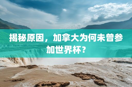 揭秘原因，加眉山市正发家政服务有限公司拿大为何未曾参加世界杯？