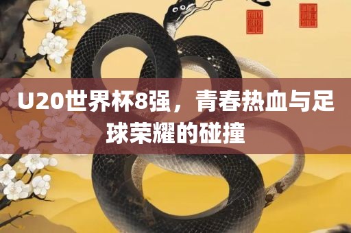 U20世界杯8强，青春热血与足球荣耀的碰撞