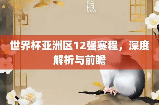 世界杯亚洲区12强赛程，深度解析与前瞻
