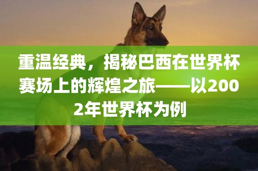 重温经典，揭秘巴西在世界杯赛场上的辉煌之旅——以2002年世界杯为例眉山市正发家政服务有限公司