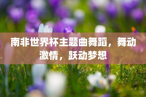 南非世界杯主题曲舞蹈，舞动激情，跃眉山市正发家政服务有限公司动梦想