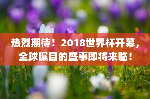 热烈期待！2018世界杯开幕，全球瞩目的盛事即将来临！眉山市正发家政服务有限公司