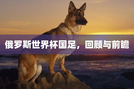 俄罗斯世界杯国足，回顾与前瞻