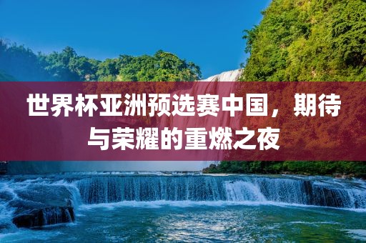 世界杯亚洲预选赛中国，期待与荣耀的重燃之夜