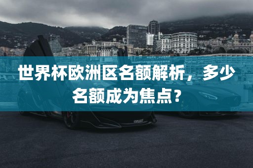 世界杯欧洲区名额解析，多少名额成为焦点？