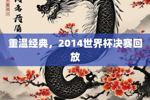 重温经典，2014世界杯决赛回放