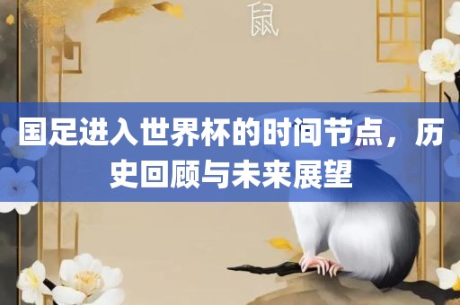 国足进入世界杯的时间节点，历史回顾与未来展望