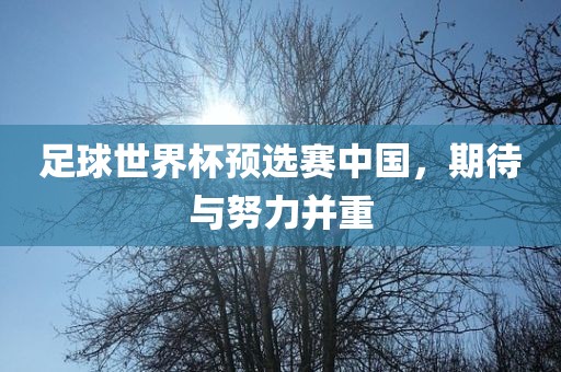 足球世界杯预选赛中国，期待与努力并重