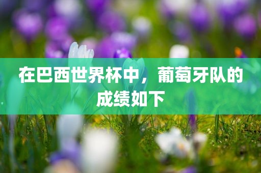 在巴西世界杯中，葡萄牙队的成绩如下眉山市正发家政服务有限公司