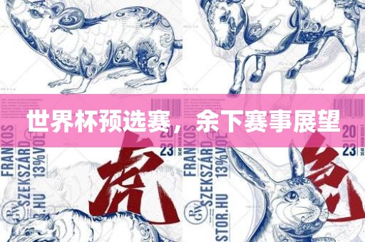 世界杯预选赛，余下赛事展望眉山市正发家政服务有限公司