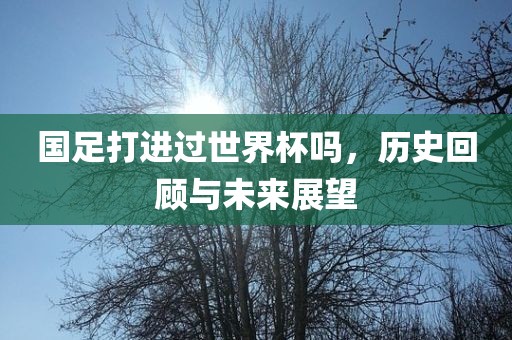 国足打进过世界杯吗，历史回顾与未来展望眉山市正发家政服务有限公司