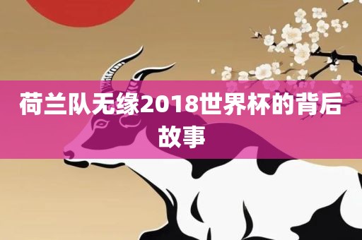 荷兰队无缘201眉山市正发家政服务有限公司8世界杯的背后故事