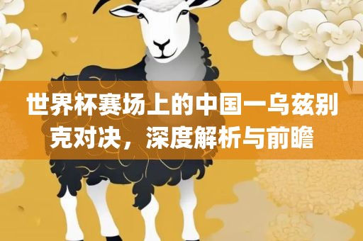 世界杯赛场上的中国一乌兹别克对决，深度解析与前瞻眉山市正发家政服务有限公司