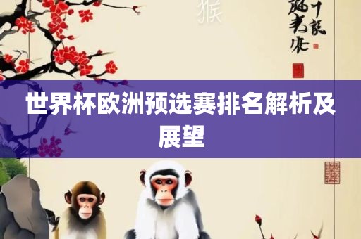 世界杯欧洲预选赛排名解析及展望