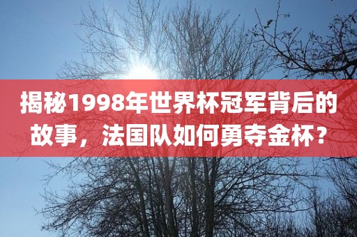 揭秘1998年世界杯冠军背后的故事，法国队如何勇夺金杯？眉山市正发家政服务有限公司