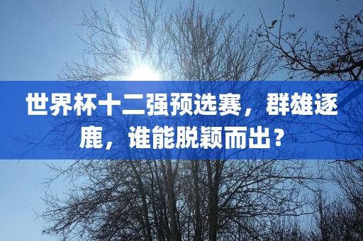 世界杯十二强预选赛，群雄逐鹿，谁能脱颖而出？