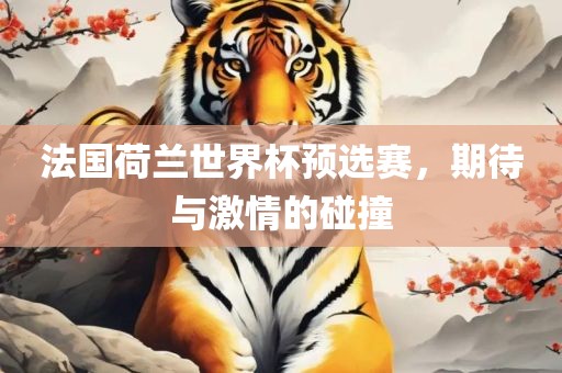 法国荷兰世界杯预选赛，期待与激情的碰撞