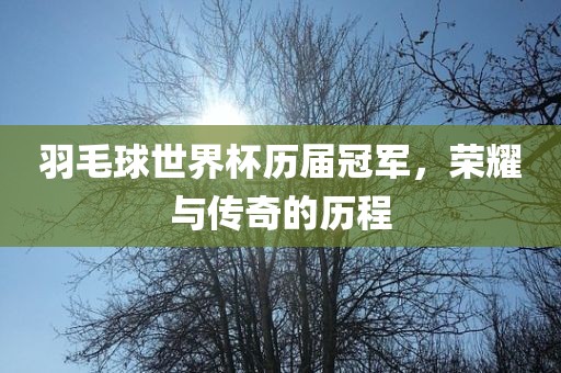 羽毛球世界杯历届冠军，荣耀与传奇的历程