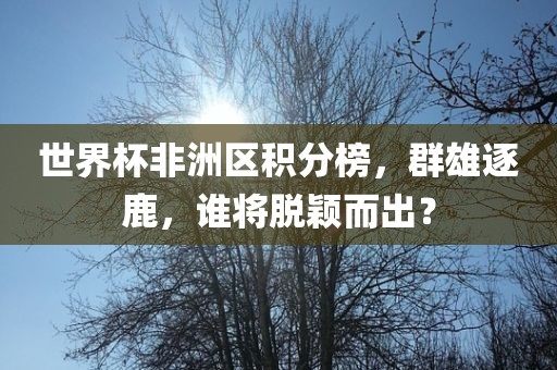 世界杯非洲区积分榜，群雄逐鹿，谁将脱颖而出？
