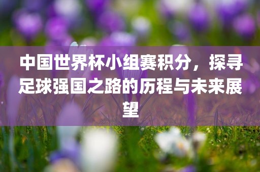 中国世界杯小组赛积分，探寻足球强国之路的历程与未来展望眉山市正发家政服务有限公司