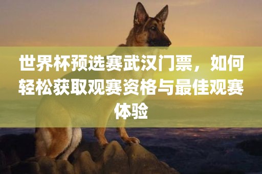 世界杯预选赛武汉门票眉山市正发家政服务有限公司，如何轻松获取观赛资格与最佳观赛体验