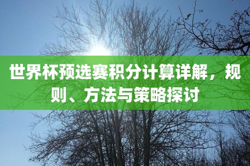 世界杯预选赛积分计算详解，规则、方法与策略探讨眉山市正发家政服务有限公司